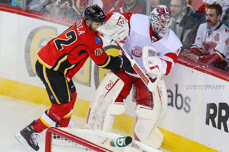 nhl hockey calgary flames vs detroit red wings sergei belski photo