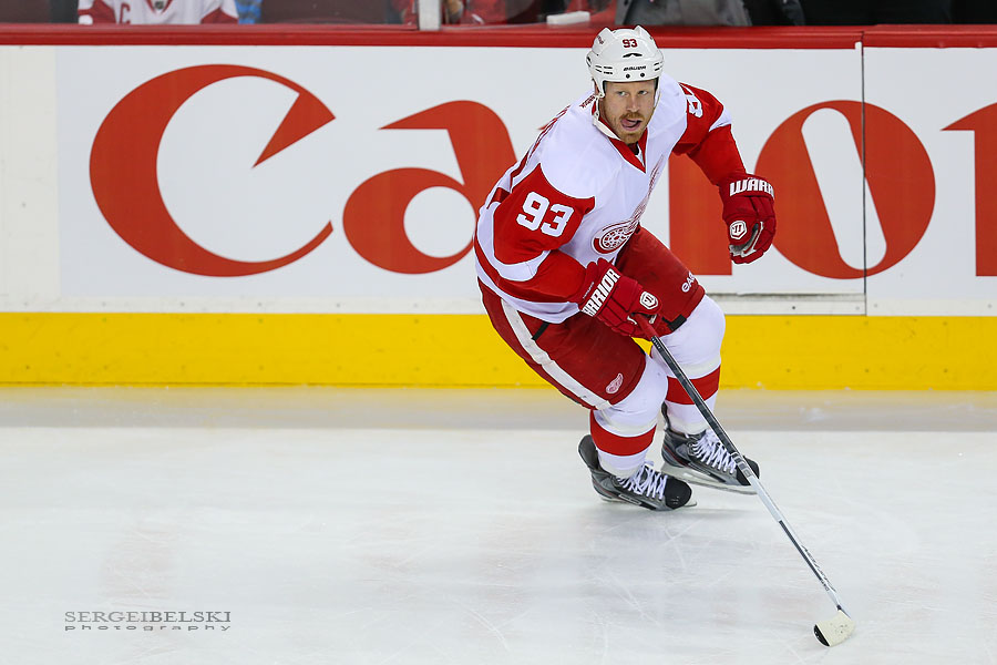 nhl hockey calgary flames vs detroit red wings sergei belski photo