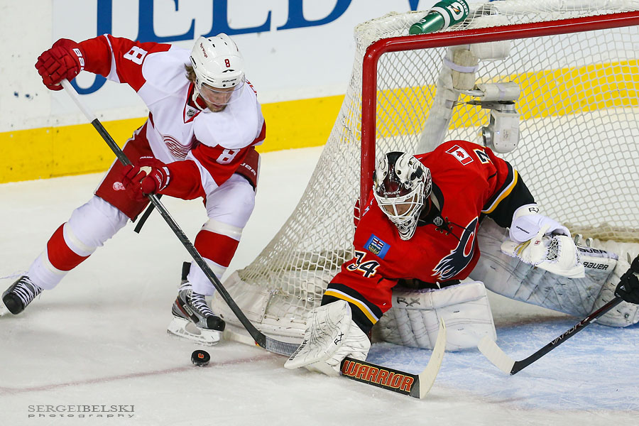 nhl hockey calgary flames vs detroit red wings sergei belski photo