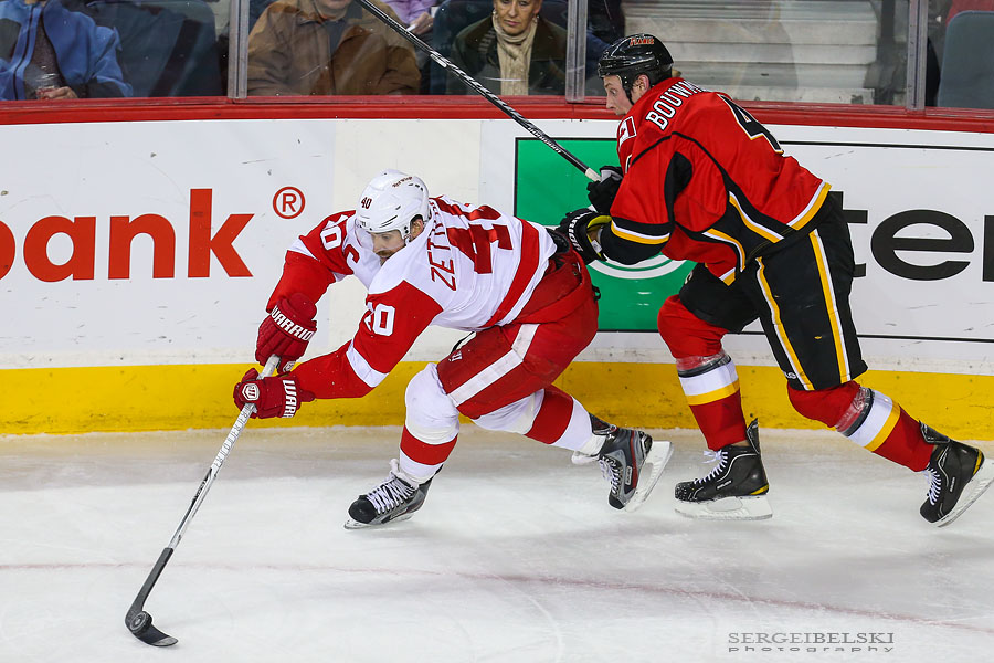 nhl hockey calgary flames vs detroit red wings sergei belski photo