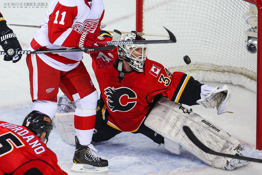 nhl hockey calgary flames vs detroit red wings sergei belski photo