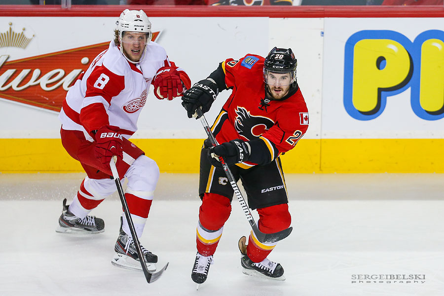 nhl hockey calgary flames vs detroit red wings sergei belski photo