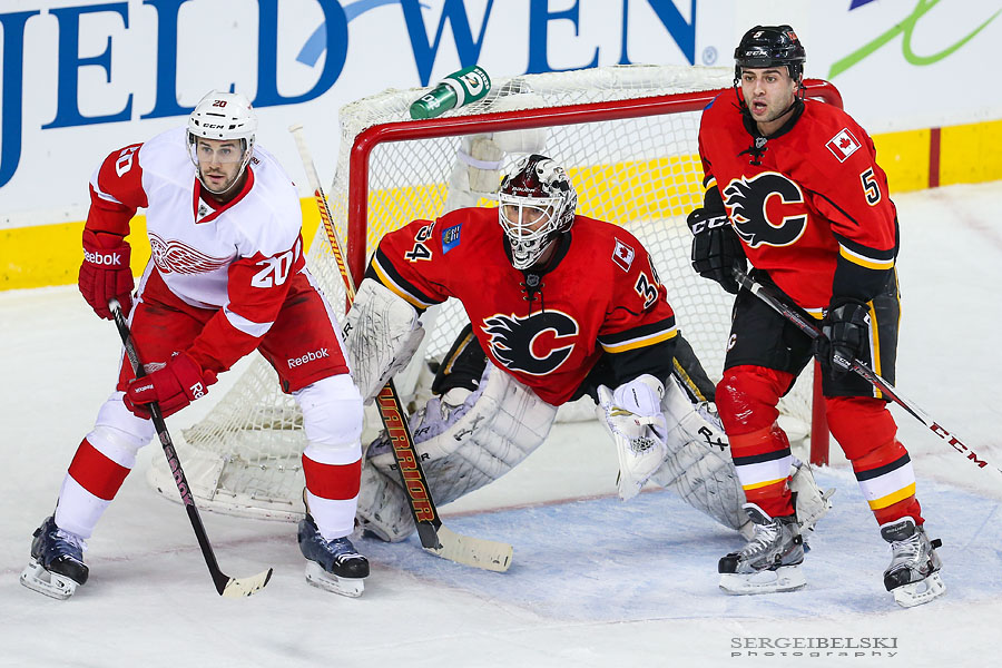 nhl hockey calgary flames vs detroit red wings sergei belski photo