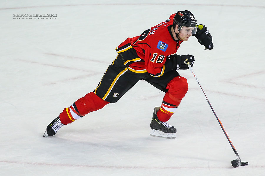 nhl hockey calgary flames vs st. louis blues sergei belski photo