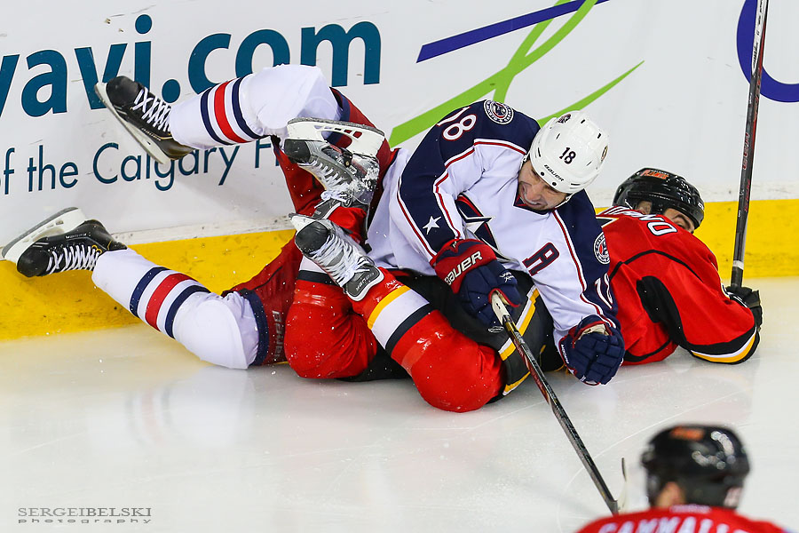nhl hockey calgary flames vs columbus blue jackets sergei belski photo
