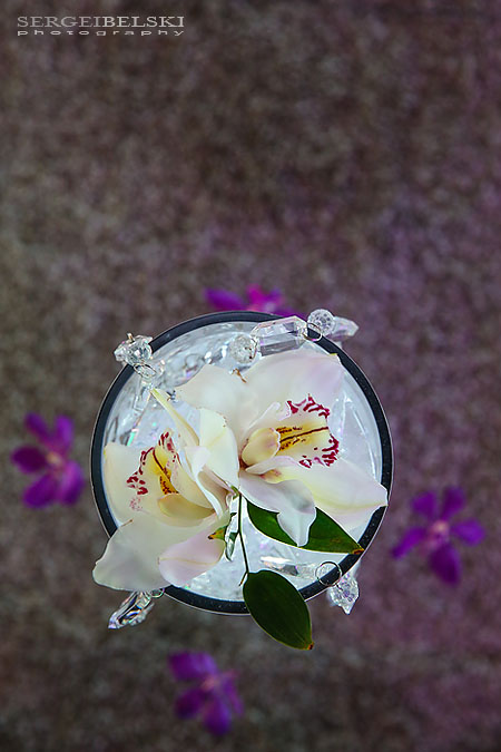 event decor sait sergei belski photo