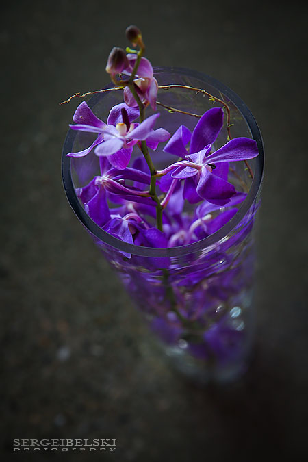 event decor sait sergei belski photo