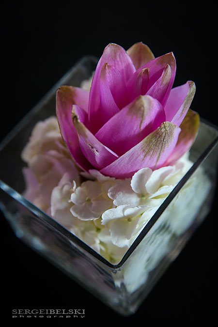 event decor sait sergei belski photo