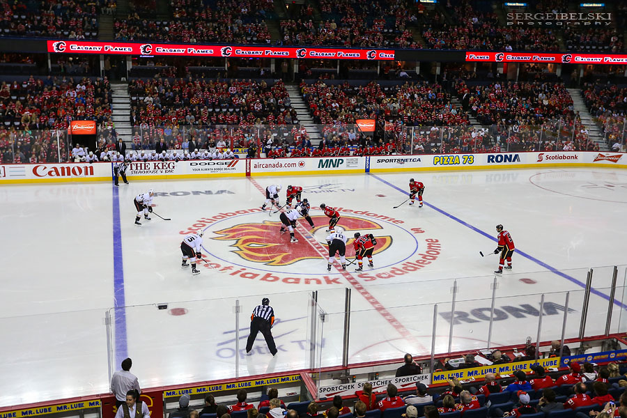 nhl hockey calgary flames vs anaheim ducks sergei belski photo