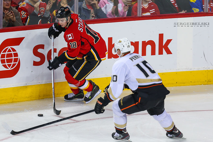 nhl hockey calgary flames vs anaheim ducks sergei belski photo
