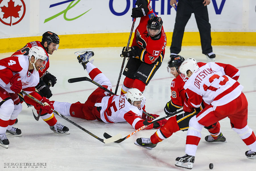nhl hockey calgary flames vs phoenix coyotes sergei belski photo