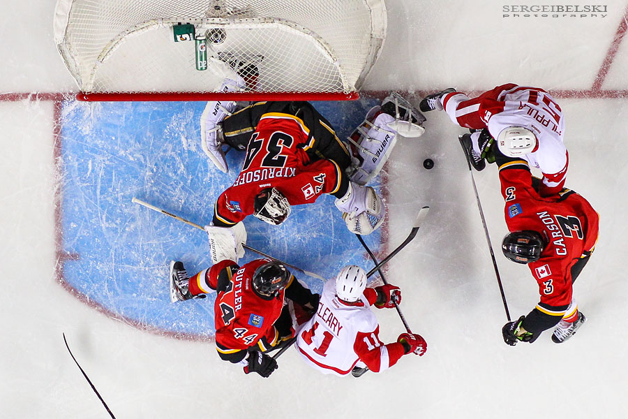 nhl hockey calgary flames vs phoenix coyotes sergei belski photo