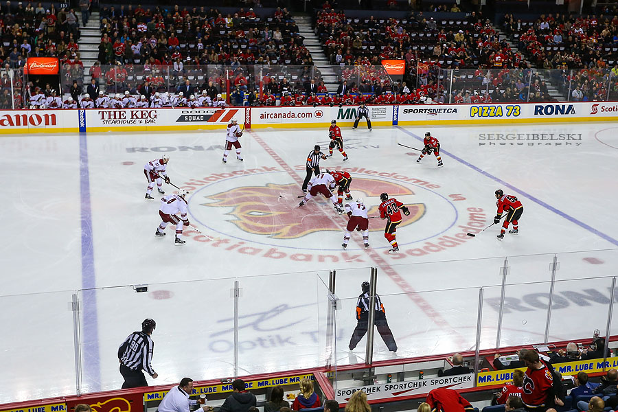 nhl hockey calgary flames vs phoenix coyotes sergei belski photo