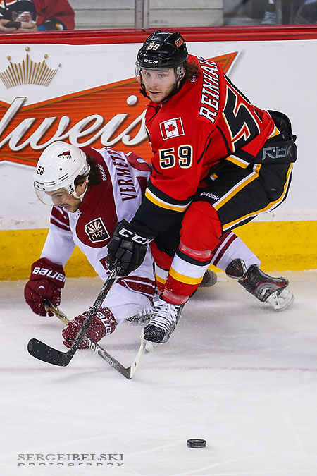 nhl hockey calgary flames vs phoenix coyotes sergei belski photo