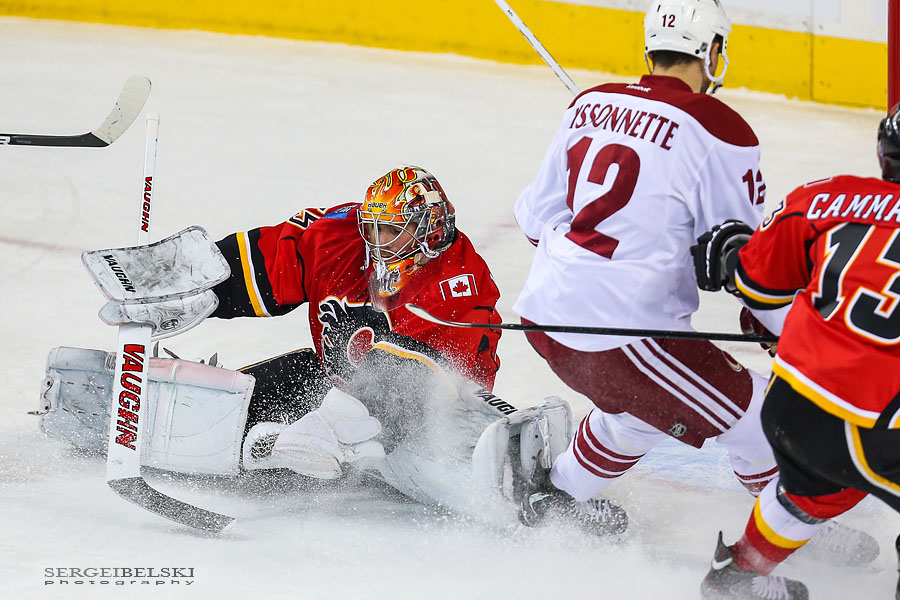 nhl hockey calgary flames vs phoenix coyotes sergei belski photo