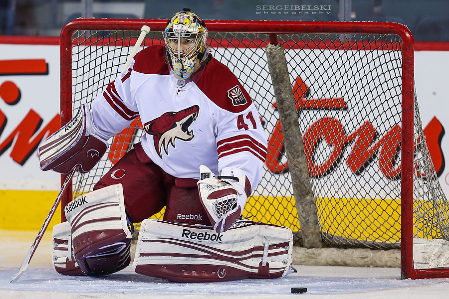 nhl hockey calgary flames vs phoenix coyotes sergei belski photo