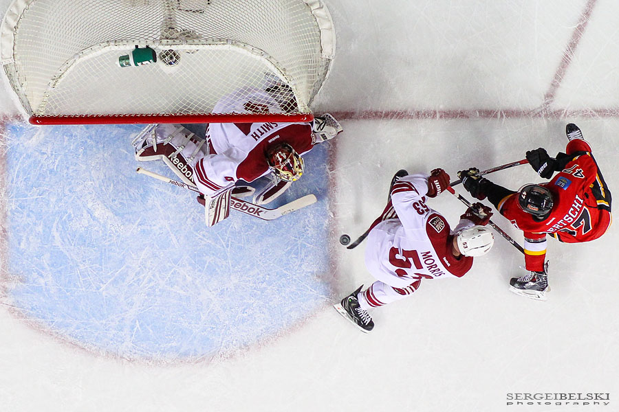 nhl hockey calgary flames vs phoenix coyotes sergei belski photo