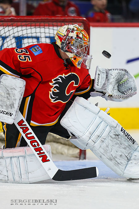 nhl hockey calgary flames vs phoenix coyotes sergei belski photo