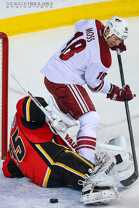 nhl hockey calgary flames vs phoenix coyotes sergei belski photo