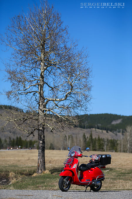 my vespa adventures photo