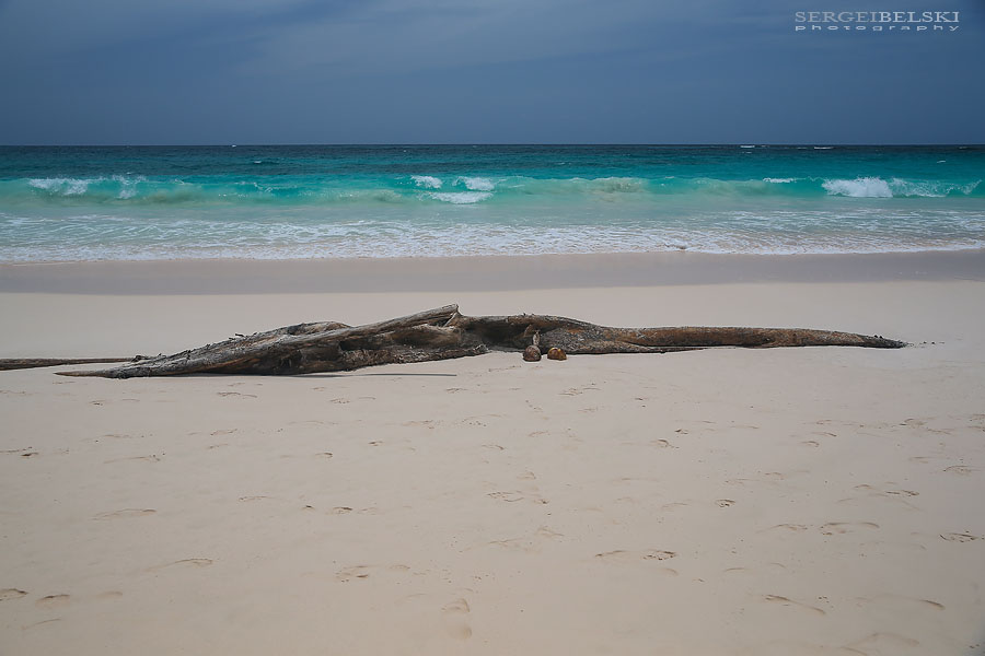 dominican republic vacation photo