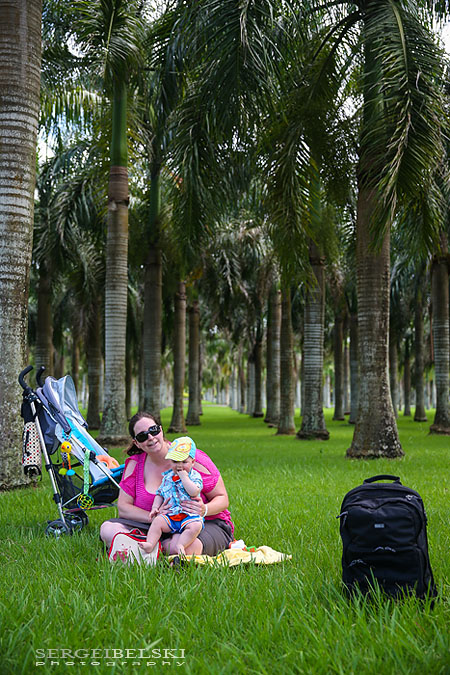 dominican republic vacation photo