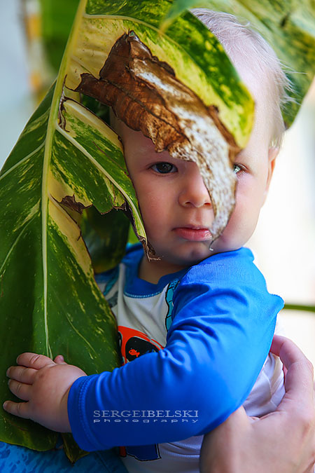 dominican republic vacation photo