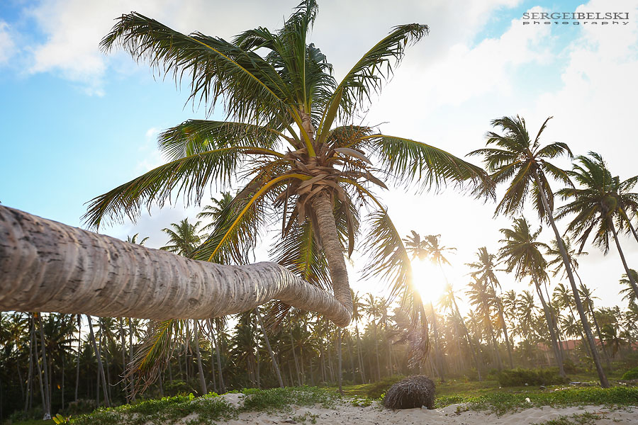 dominican republic vacation photo