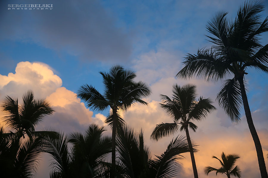 dominican republic vacation photo