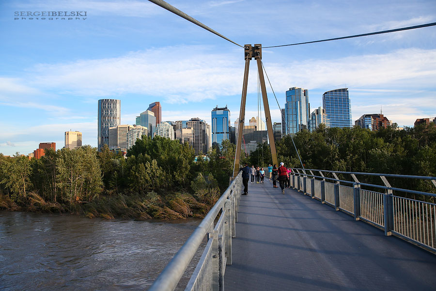 my vespa adventures photo