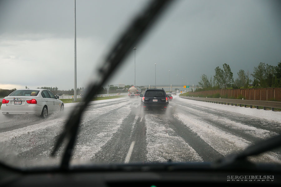 stampede calgary sergei belski photo