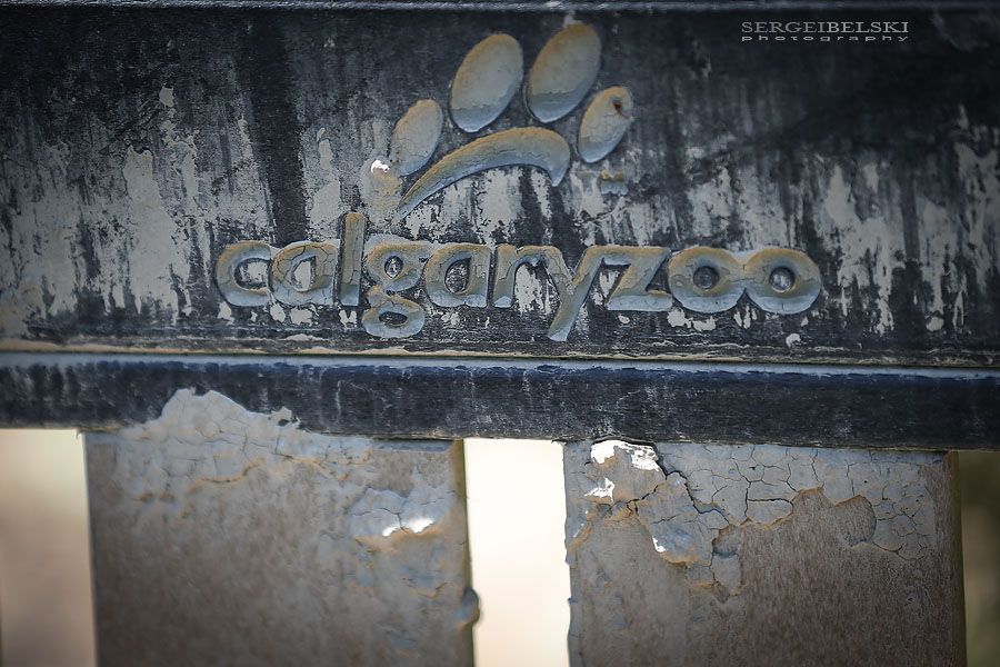 calgary zoo damage sergei belski photo