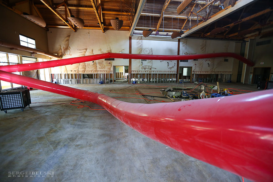 calgary zoo damage sergei belski photo