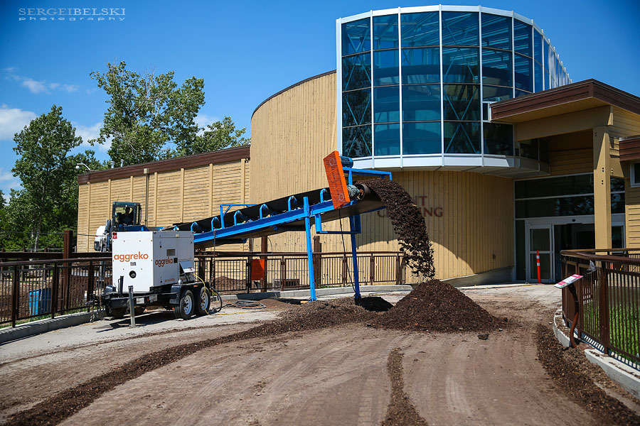 calgary zoo damage sergei belski photo