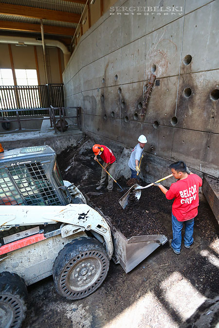 calgary zoo damage sergei belski photo
