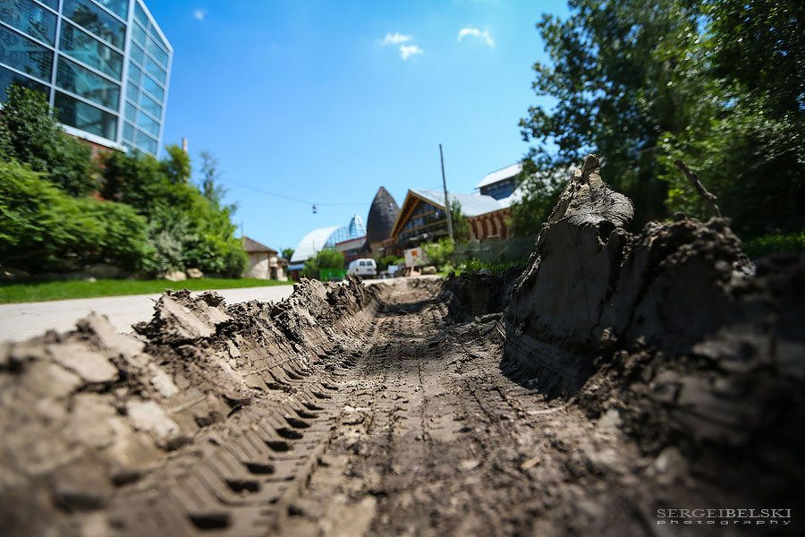 calgary zoo damage sergei belski photo