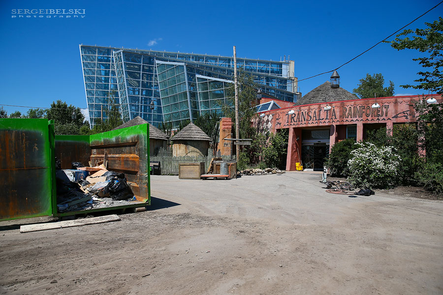 calgary zoo damage sergei belski photo