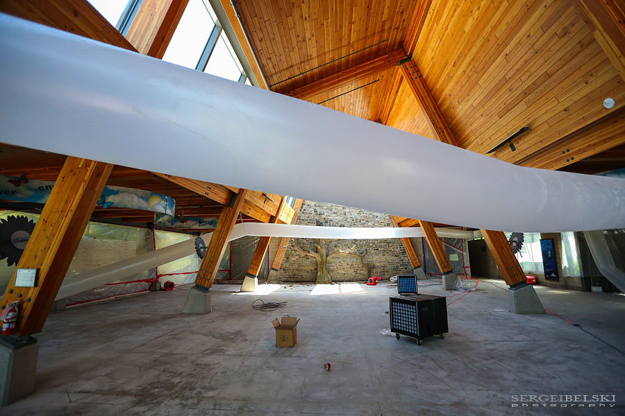 calgary zoo damage sergei belski photo