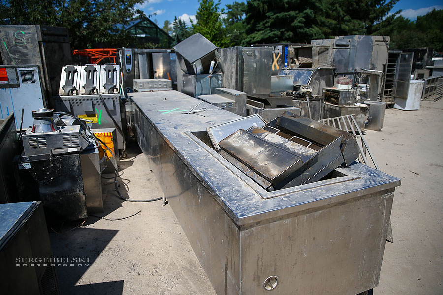 calgary zoo damage sergei belski photo