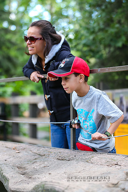 calgary zoo opening day sergei belski photo