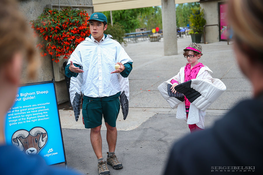 calgary zoo opening day sergei belski photo