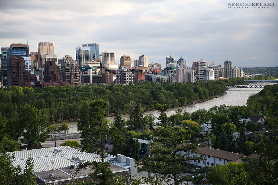 my vespa adventures photo