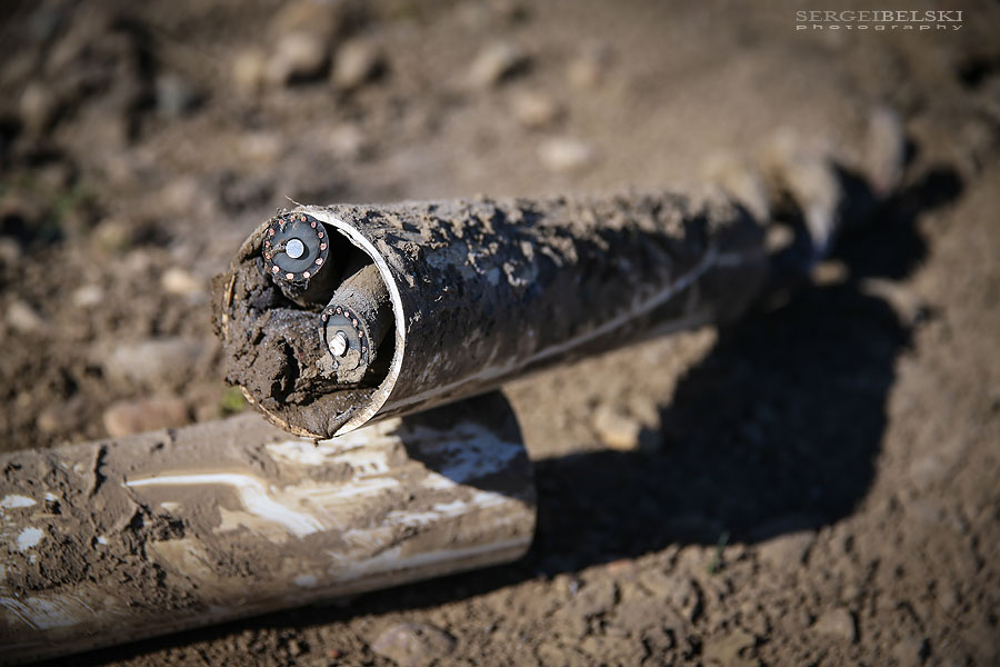 fortis alberta sergei belski photo