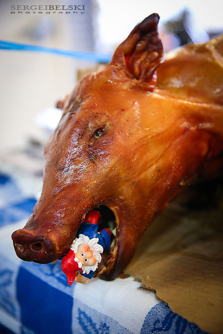 my vespa adventures photo