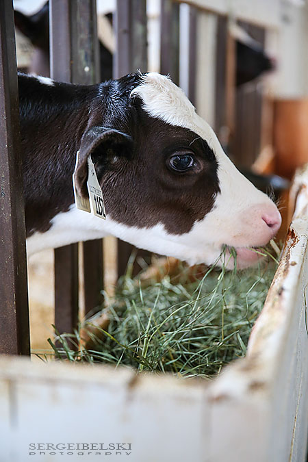 family boat vacation sergei belski photo
