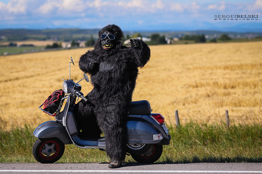 my vespa adventures calgary photographer sergei belski photo