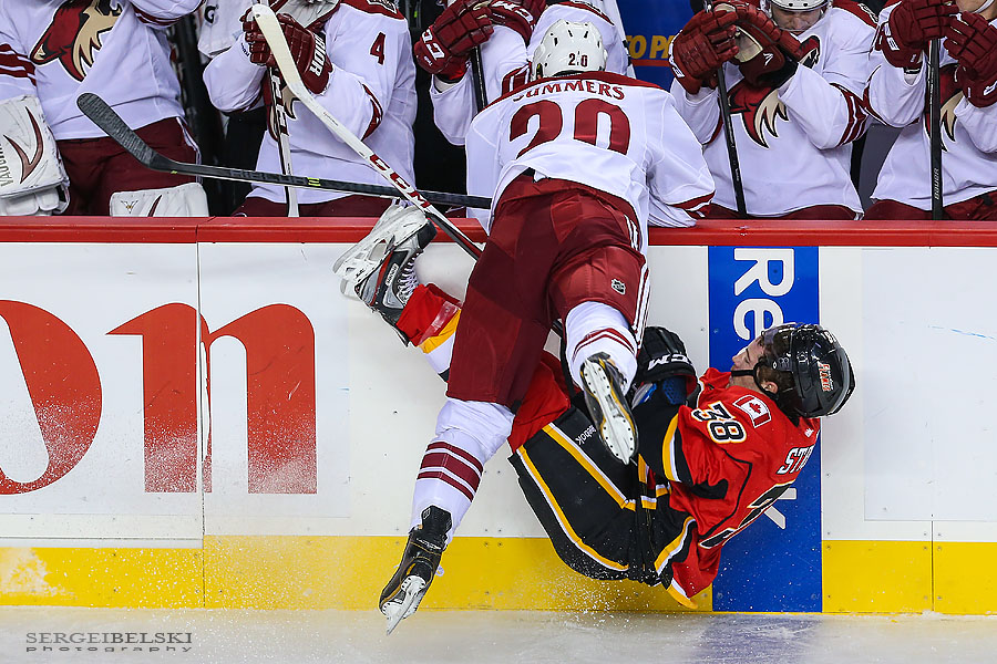 nhl hockey calgary flames vs phoenix coyotes sergei belski photo