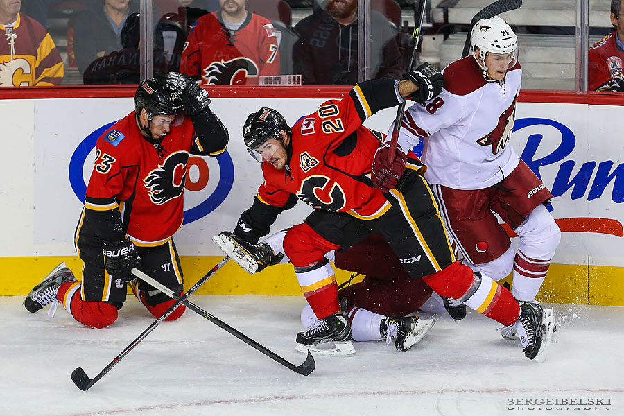 nhl hockey calgary flames vs phoenix coyotes sergei belski photo