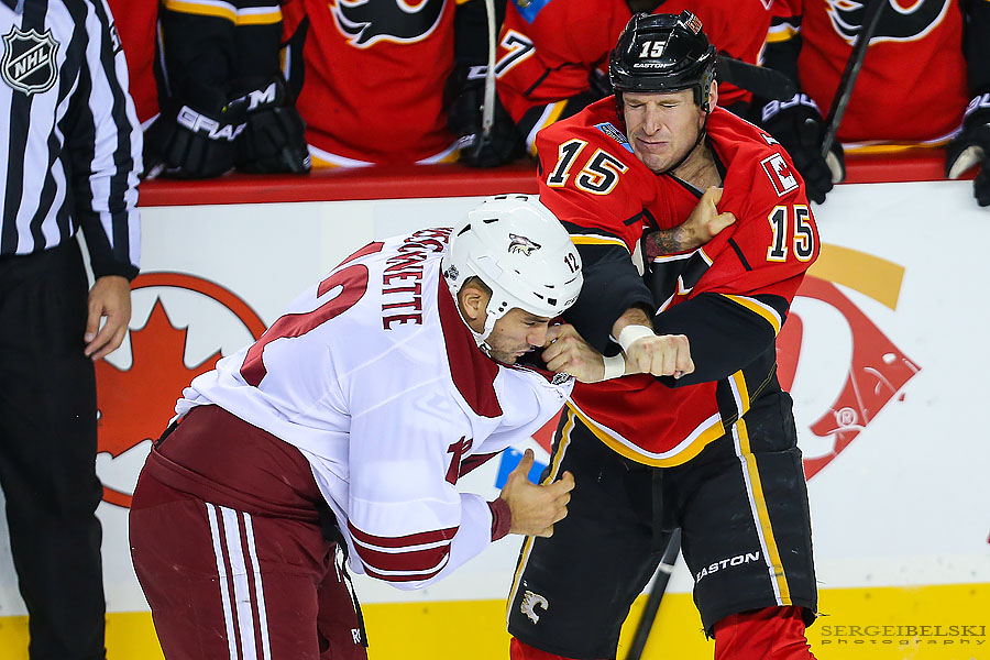 nhl hockey calgary flames vs phoenix coyotes sergei belski photo