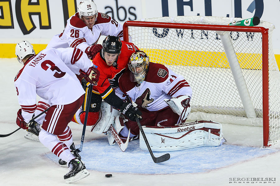nhl hockey calgary flames vs phoenix coyotes sergei belski photo